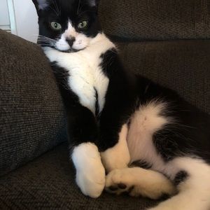 Meet your Posher, Christopher